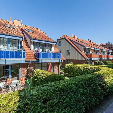 Papillon 11-4 * Boltenhagen